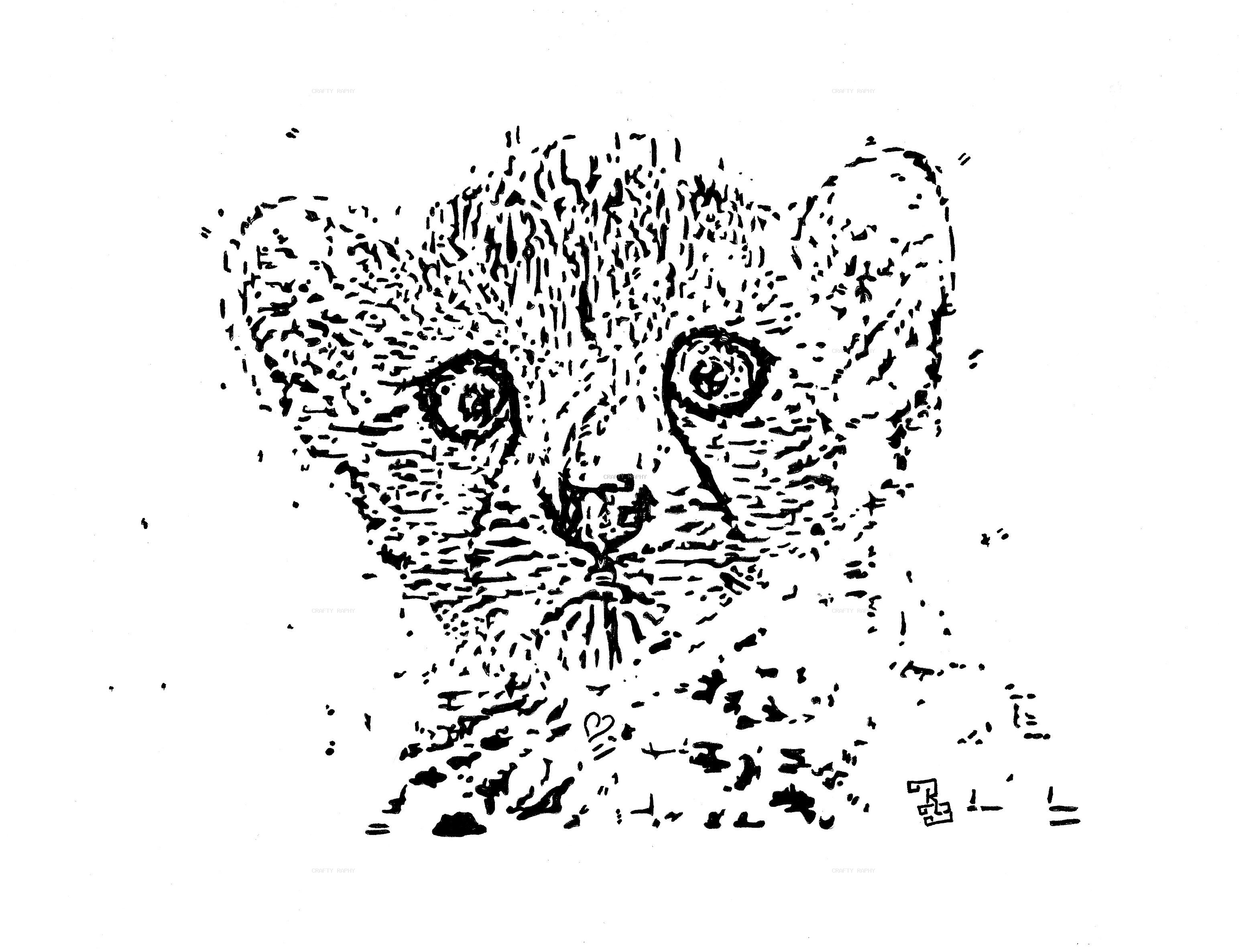 baby cheetah vector inkd