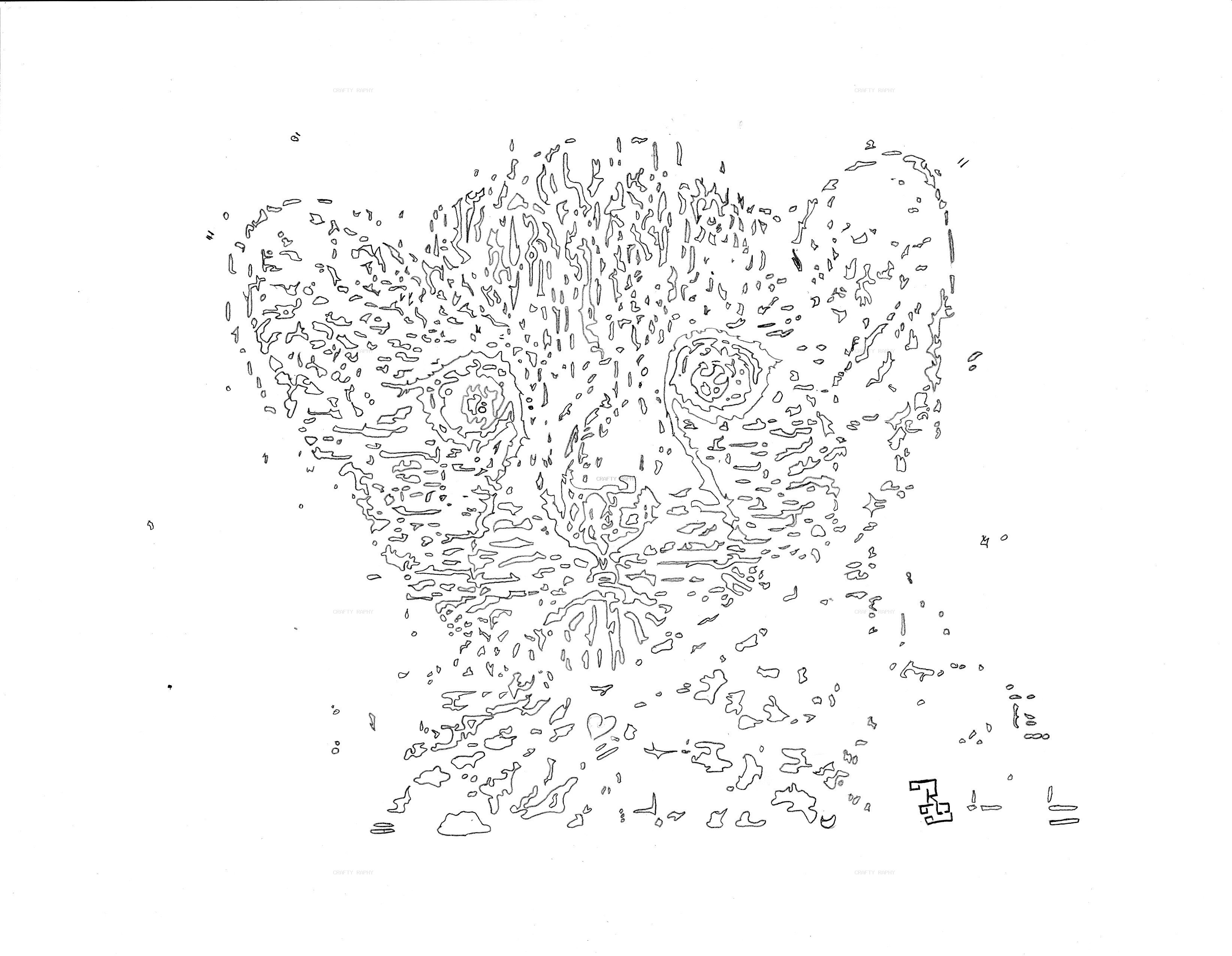 baby cheetah vector outline
