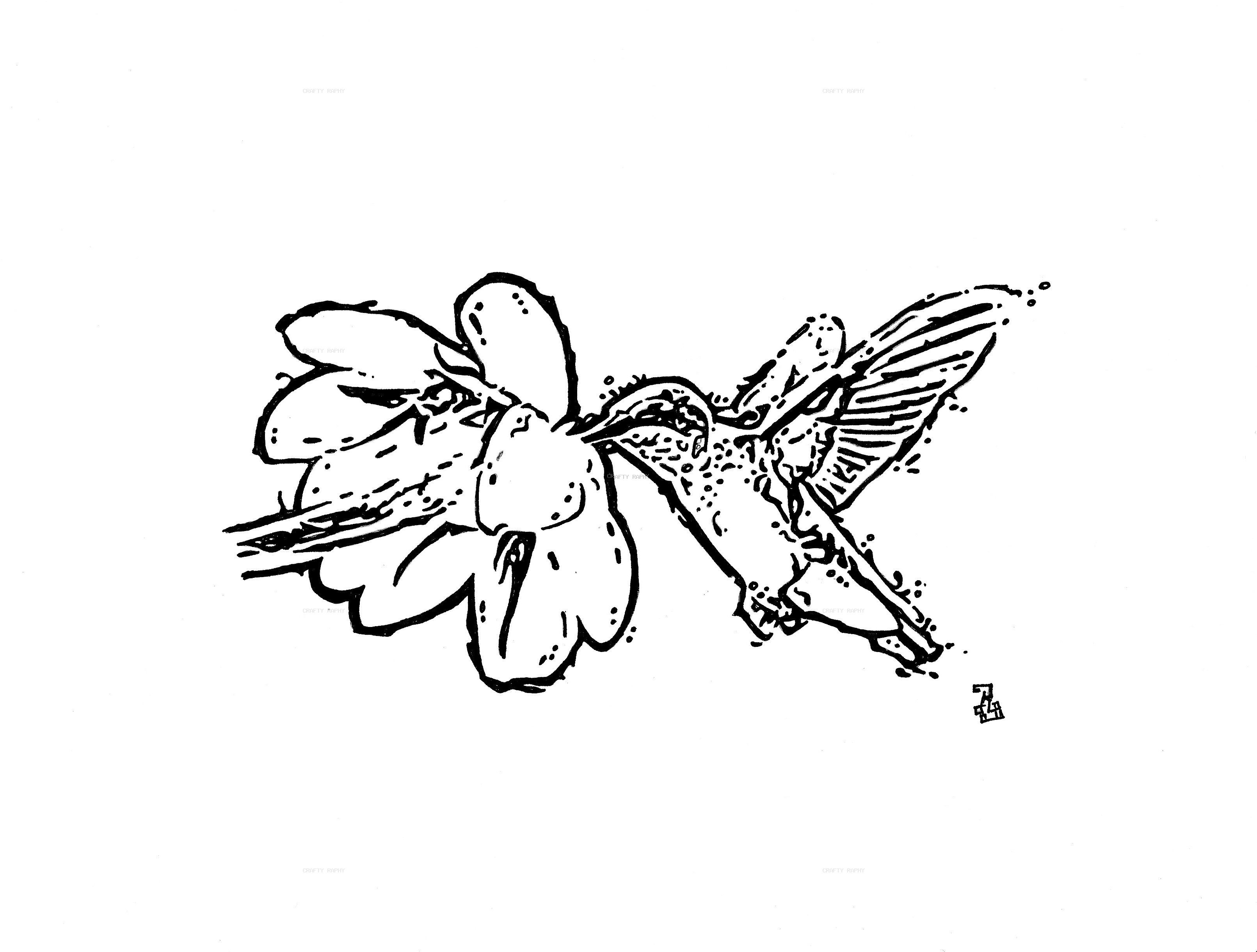 hummingbird 2 vector inkd