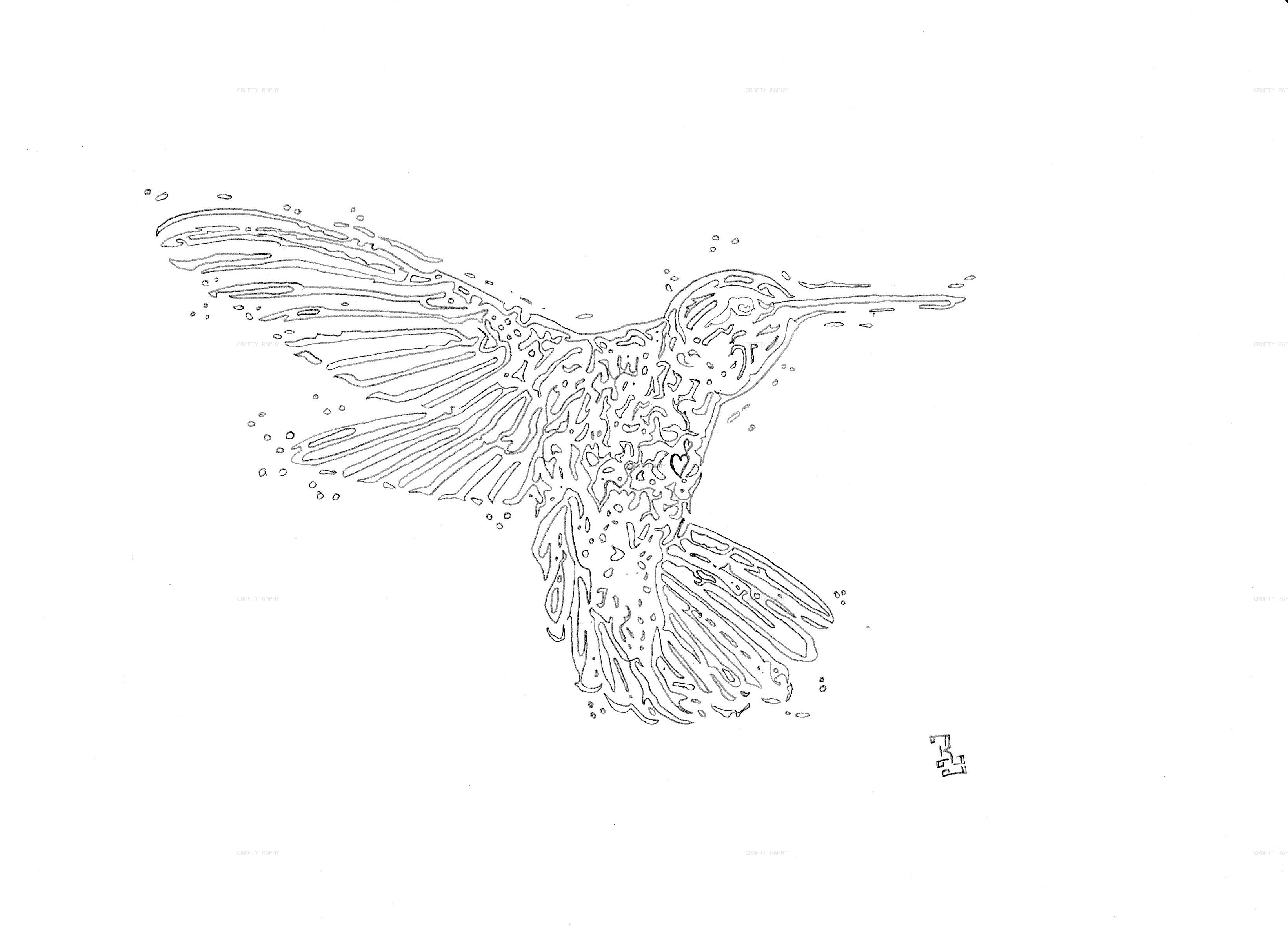 hummingbird vector outline